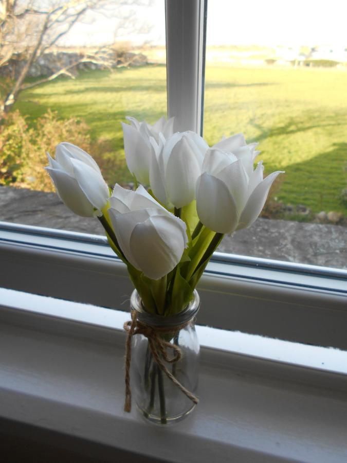 Hendre Clochydd Hall Llanaber Bagian luar foto